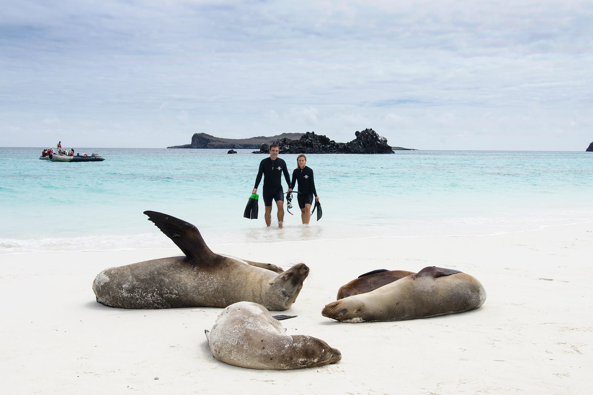 Il momento migliore per visitare i Galapagos