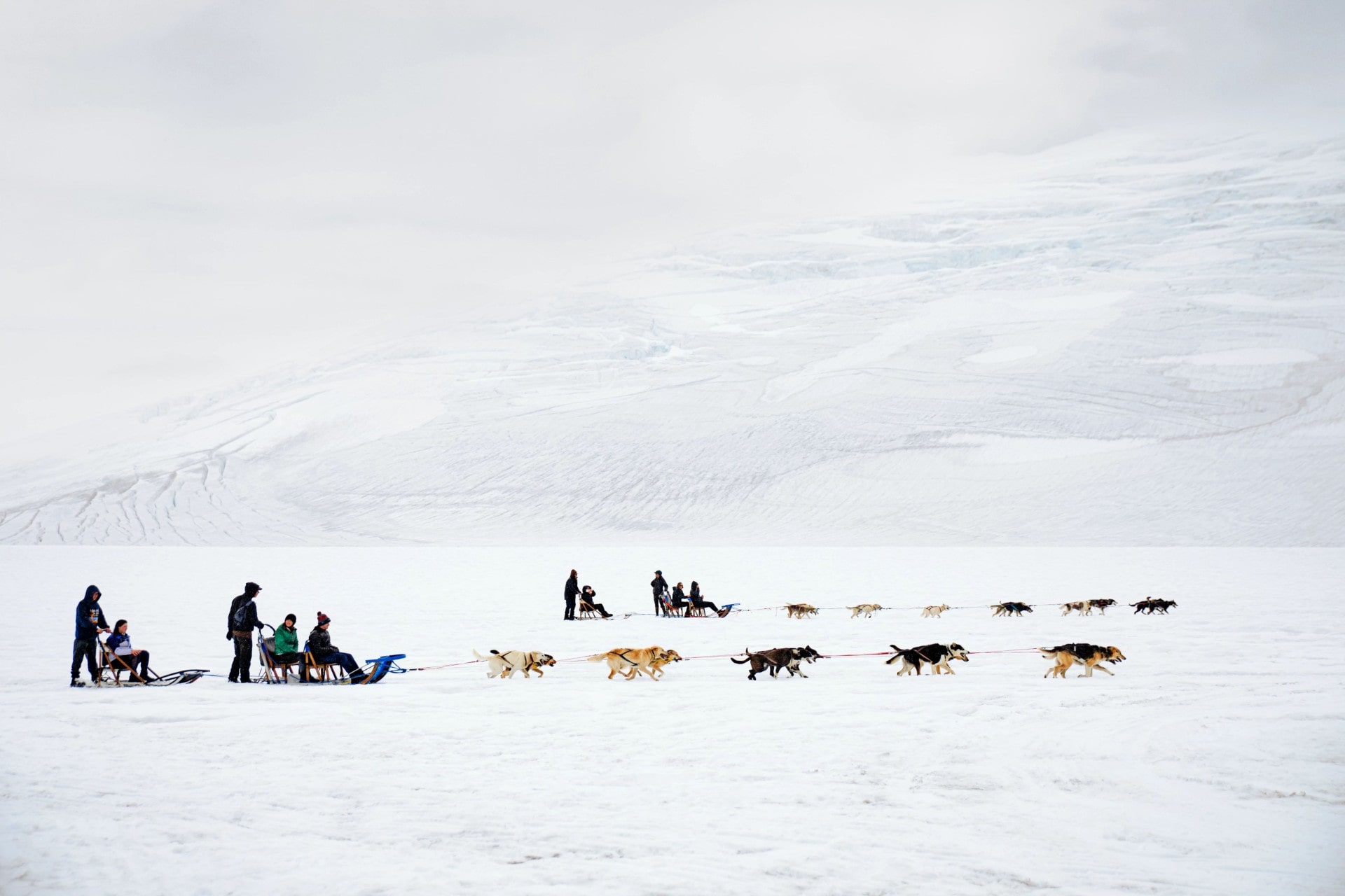 Où aller à la luge de chien en Alaska