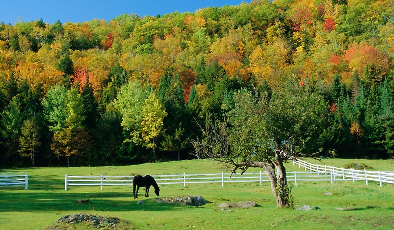 7 Most Scenic Small Towns em New Hampshire para os amantes da natureza