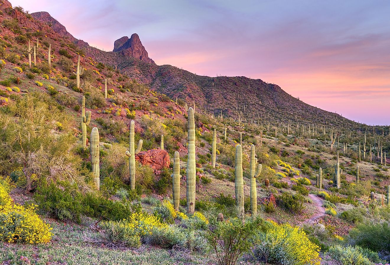 9 grands voyages sur la route pour emmener en Arizona
