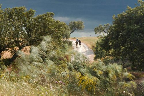 Nourriture et boire avec le pata negras: un road trip pour goûter le jambon le plus cher du monde