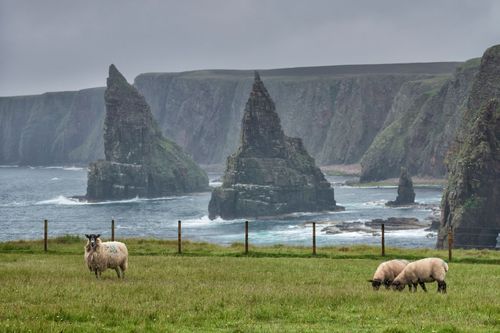 Inspiration Brilliant Bike Itiers au Royaume-Uni