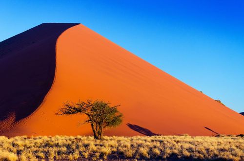 Voir et Doten des choses inoubliables à faire en Namibie