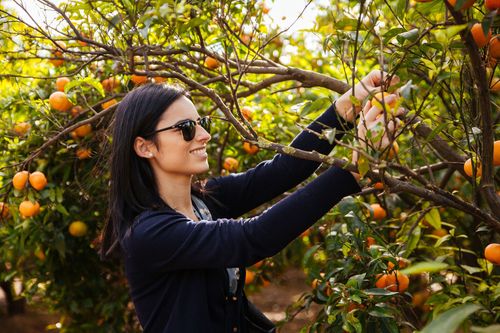 InspirationValencia: Ciudad de las artes, ciencias y prácticas climáticas pioneras