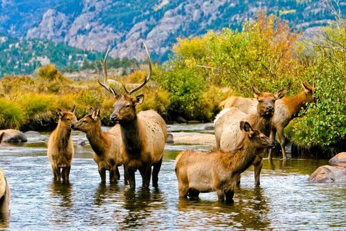 Inspiration13 Raisons pour lesquelles le Colorado est le plus bel état américain