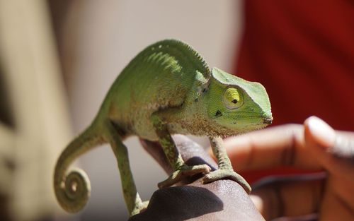 Inspiration Best Things a fazer na Gâmbia