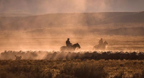 Inspirations en passant par une journée en tant que gaucho en Argentine