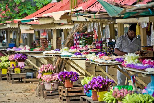 Inspiração em The Trail of Sri Lanka Famous Film Locations