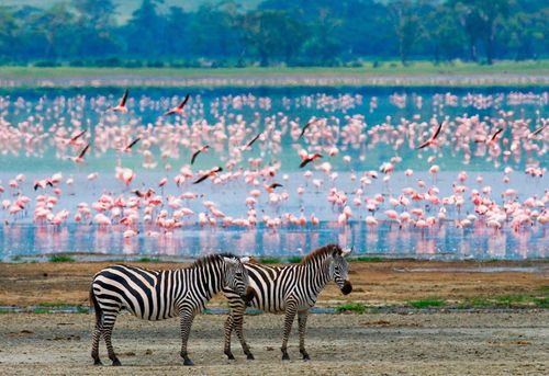 Inspiration Best Choses à faire en Tanzanie