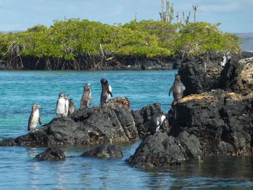 Travel Adviceweather nelle Galapagos a settembre