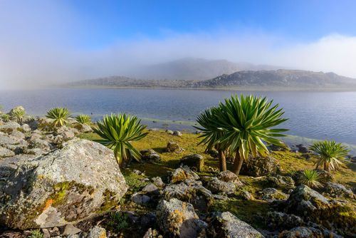 InspirationExploring Bale Mountains National Park, Etiópia