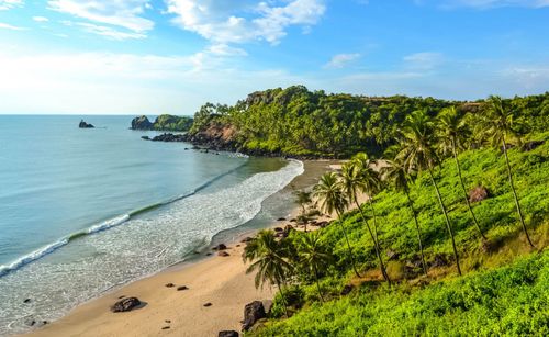 Viagem Conselhos de Opipa em agosto: Dicas de clima e viagens