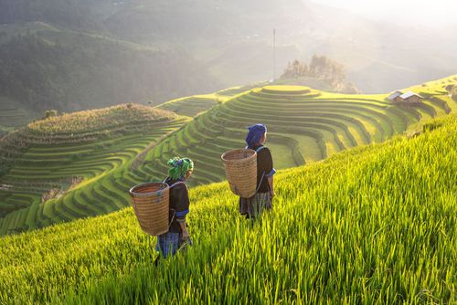 Inspiration Importance des voyages durables en 2025