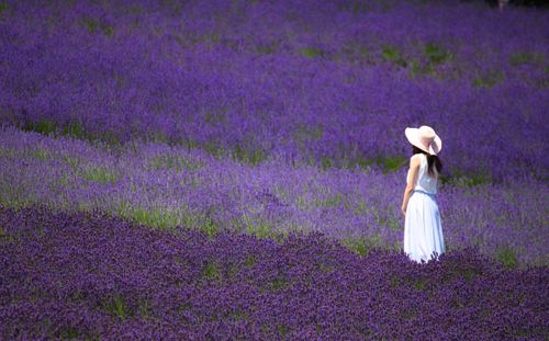 InspirationGo Solo: les 20 meilleurs endroits pour voyager seuls