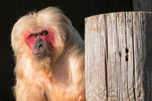 InspirationTop Five Experiencias de vida silvestre para niños