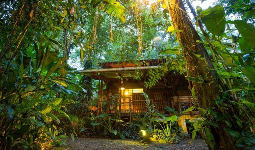 InspirationHoliday con una coscienza: 7 modi per viaggiare meglio