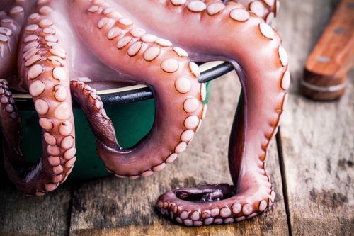 Nourriture et boisson 13 des aliments les plus bizarres du monde entier