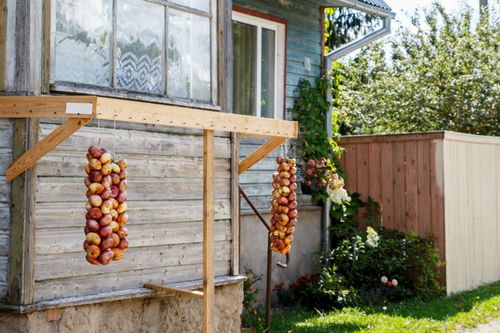 Vedi e punta dieci cose da fare in Estonia