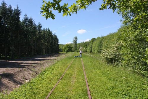 Vedi e la linea ferroviaria in disuso in Svezia è ora l'ultima avventura segreta
