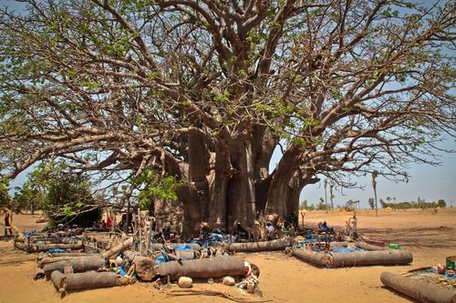 Voir et faire des choses que vous ne saviez probablement pas sur le Sénégal