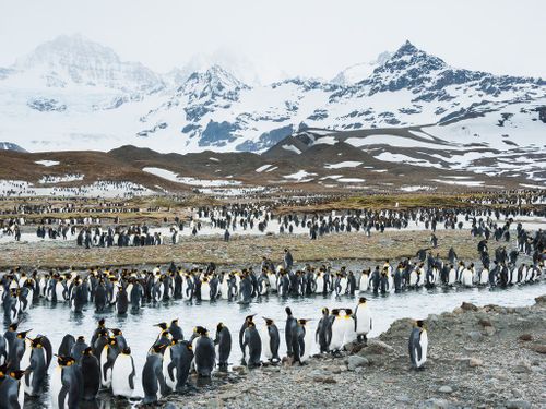 InspirationPodcast: Melhores pontos do mundo