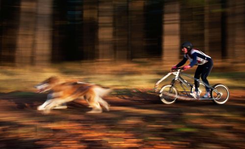 Voir et des activités de plein air à travers le Royaume-Uni