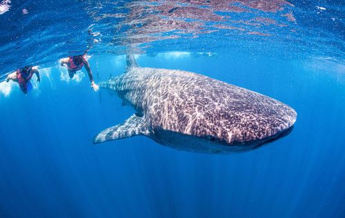 InspirationCancun em fevereiro: dicas climáticas e climáticas