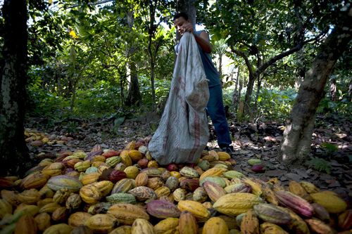 Inspirationninging para el mejor chocolate del mundo en Venezuela