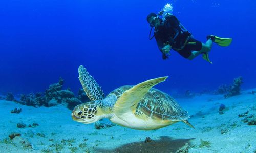 Vedi e Dowhere da fare per grandi immersioni in Vietnam