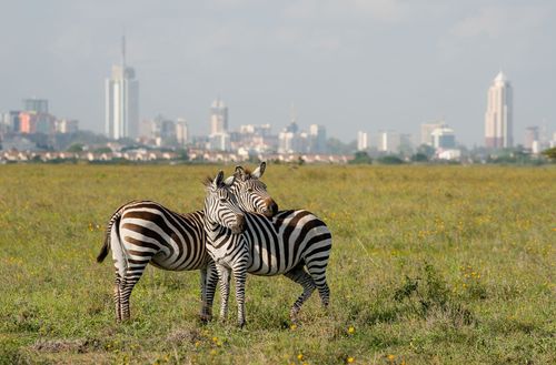 Inspirationbest cose da fare in Kenya