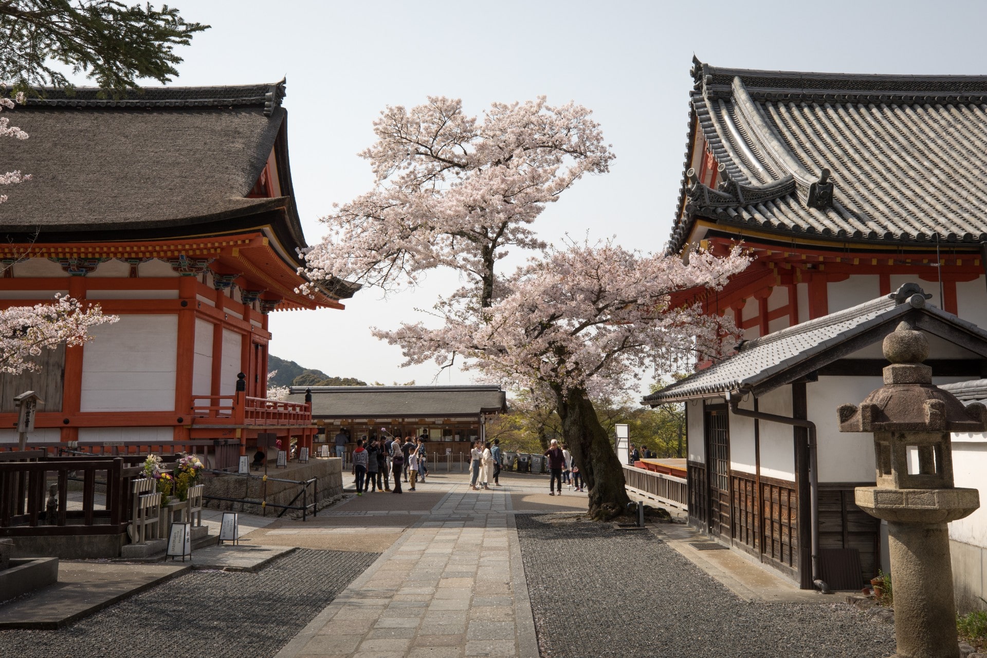 35 cose migliori da fare a Kyoto