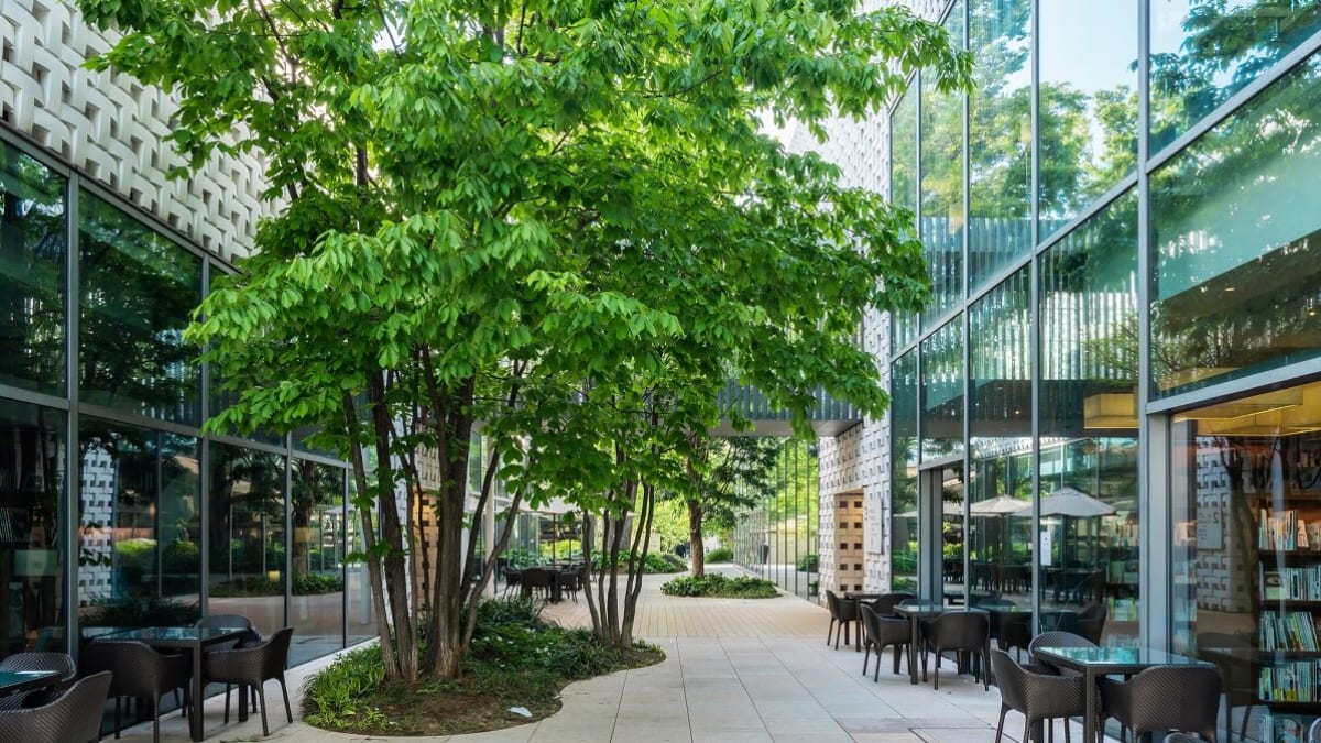 Si vous êtes à Daikanyama, commencez ici! 6 points de magasinage et de visites recommandés