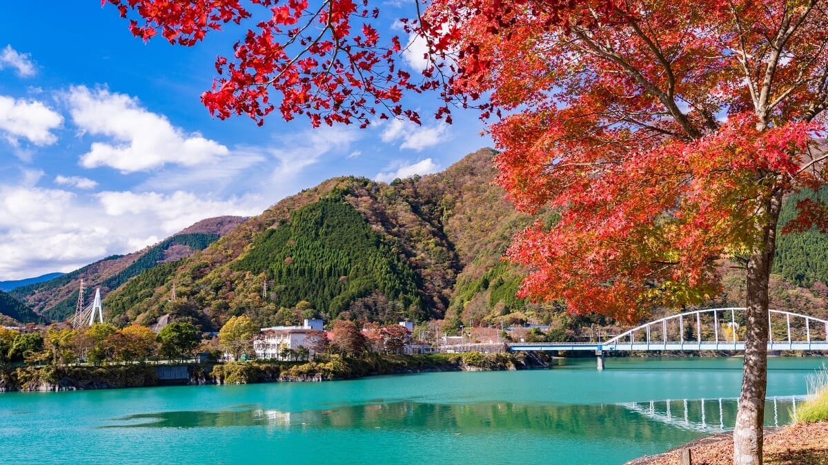 11 Placements touristiques incontournables dans la ville de Yamakita, Kanagawa 