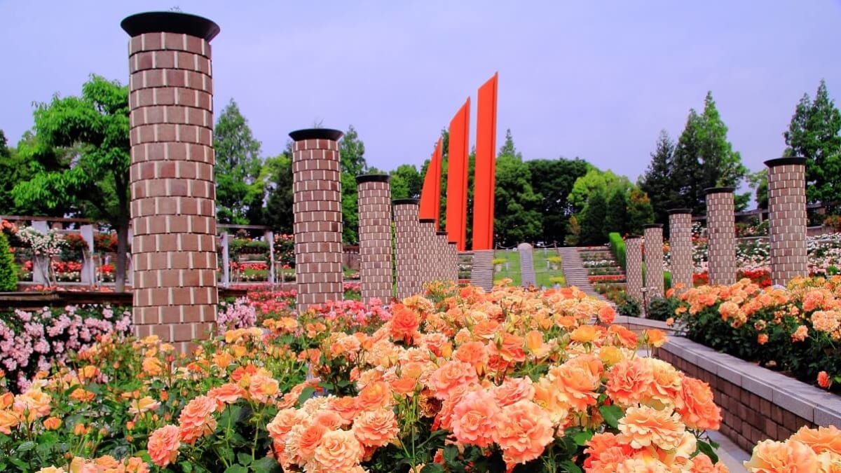 11 Sects touristes sélectionnés en Itami! Découvrez le frisson des avions, de la nature et de l'histoire