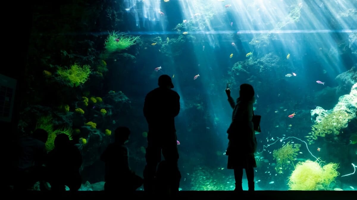 ¡Disfruta de la aventura, el juego y la relajación en un día lluvioso en Fukushima! 7 lugares turísticos recomendados