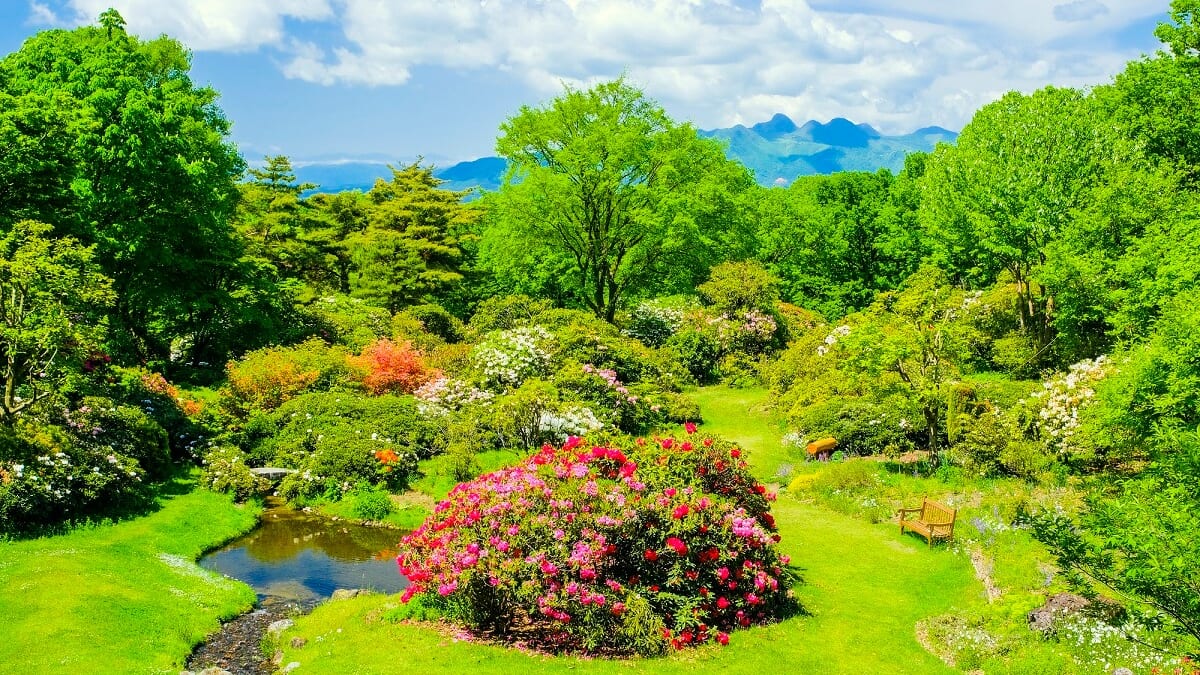 Ce n'est pas seulement des sources chaudes! 7 Spots touristiques recommandés dans la ville de Shibukawa, préfecture de Gunma