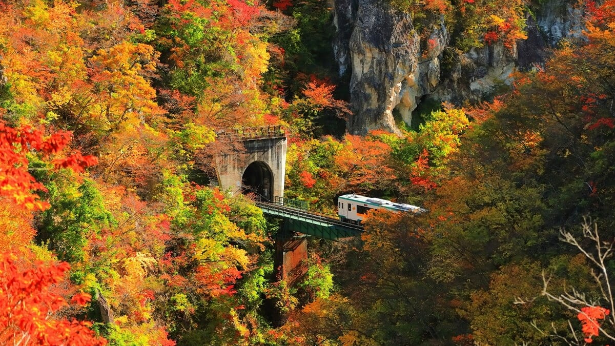 ¡Mira los 35 lugares de turismo recomendados en la prefectura de Miyagi!