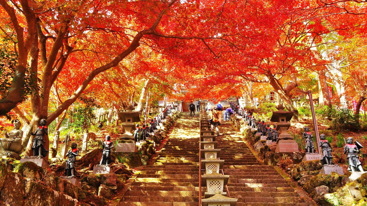 16 lugares de turismo recomendados en Oyama, Kanagawa