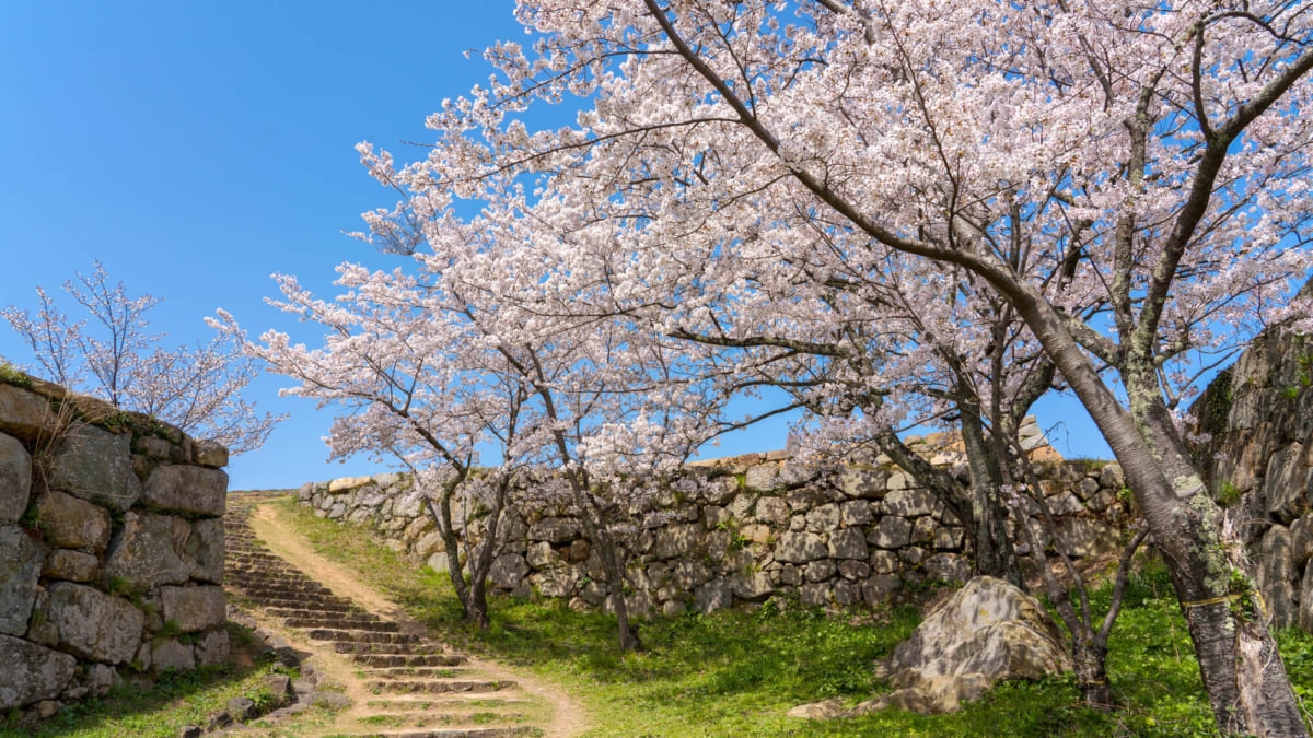 11 Les spots touristiques incontournables à Yonago, Tottori 