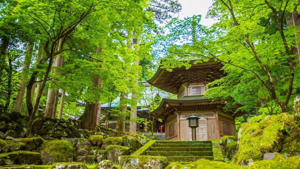 Priez pour la bonne fortune! 5 «points de pouvoir» spirituels dans Fukui pour les bénédictions