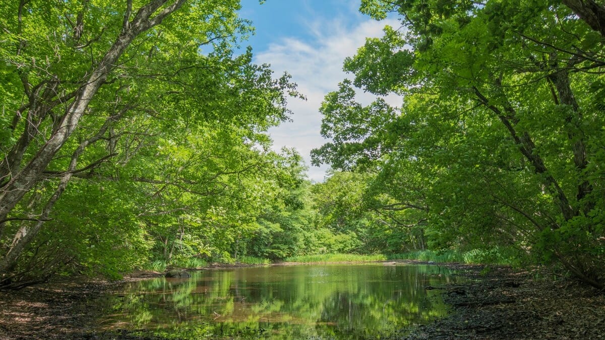 6 points touristiques incontournables dans le village de Kawauchi, Fukushima! Attractions populaires comme Ten Zan Bunko et Hot Springs