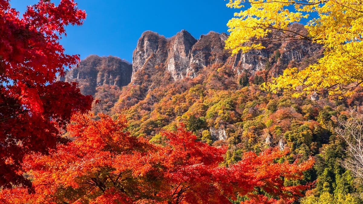 12 attractions touristiques à Tomioka: Profitez du patrimoine mondial et des rues rétro