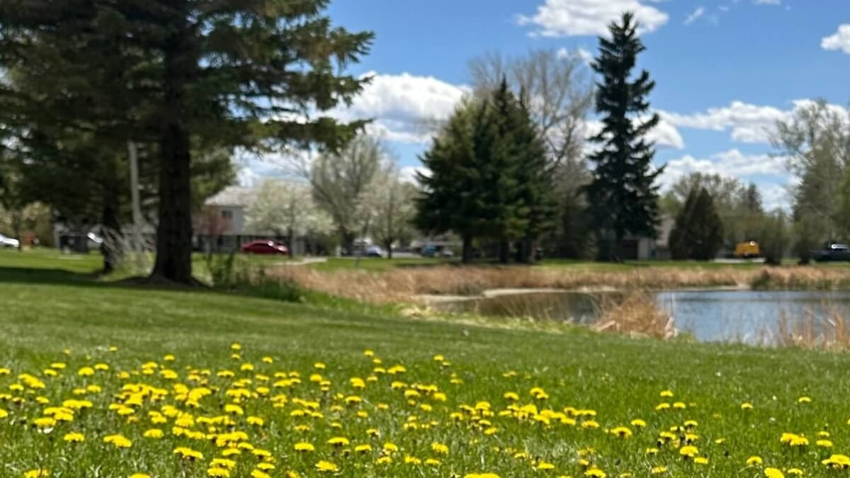 4 points touristiques incontournables à Laramie, États-Unis 