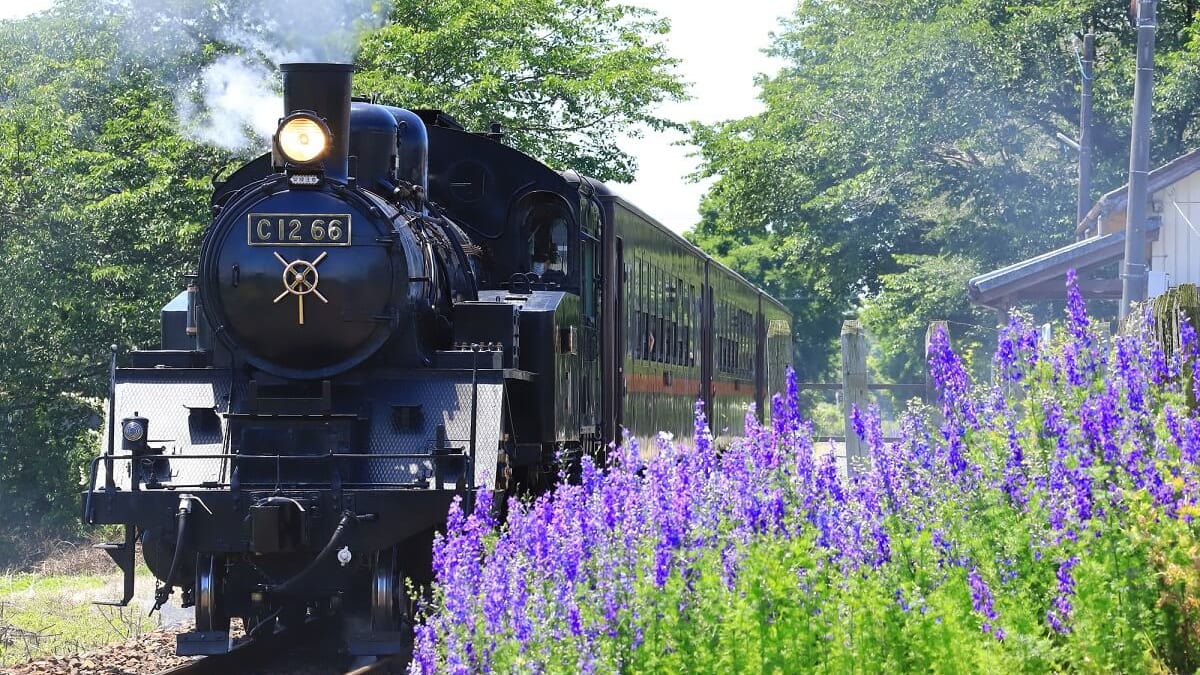 Gemmes touristiques cachées à Tochigi: 9 attractions recommandées à Mooka City, Tochigi Prefecture