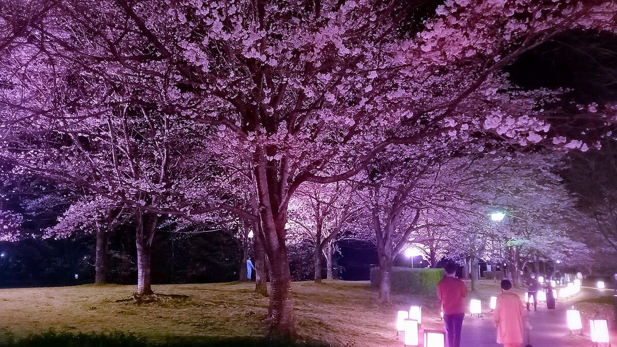 9 Placs touristiques recommandés dans la ville de Mibu, Tochigi, la ville de Toys