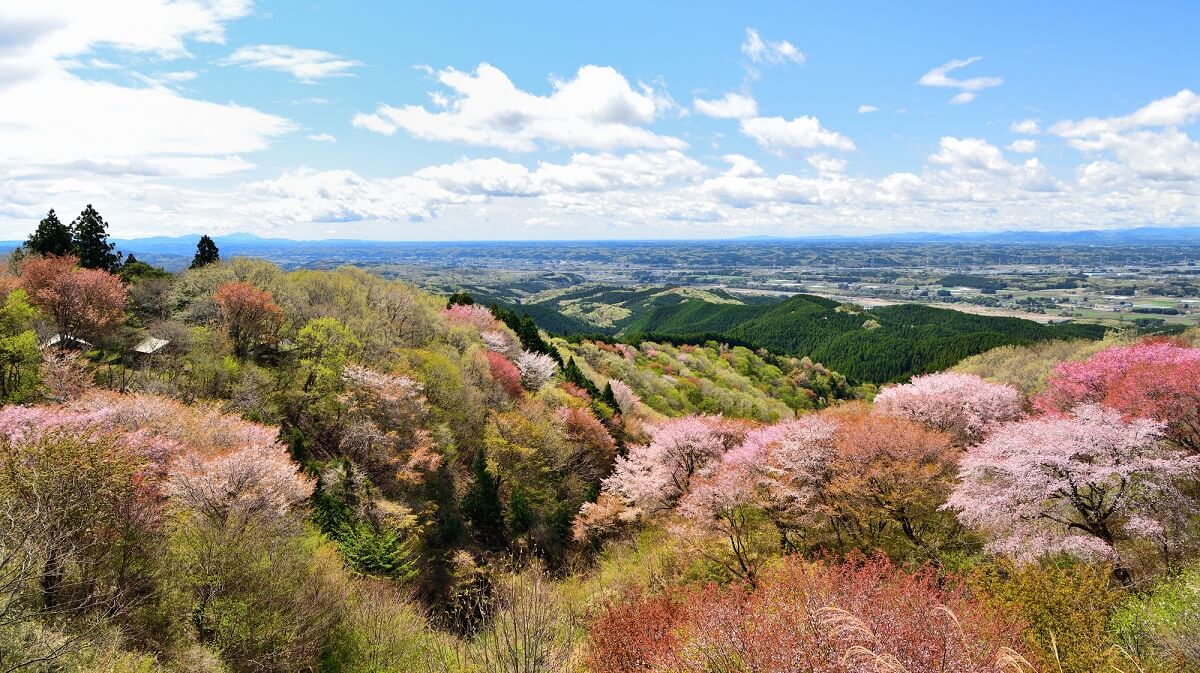 Papés touristiques populaires à Otawara City, Tochigi Prefecture: 7 Sélections pour un voyage en profitant de l'histoire et de la nature