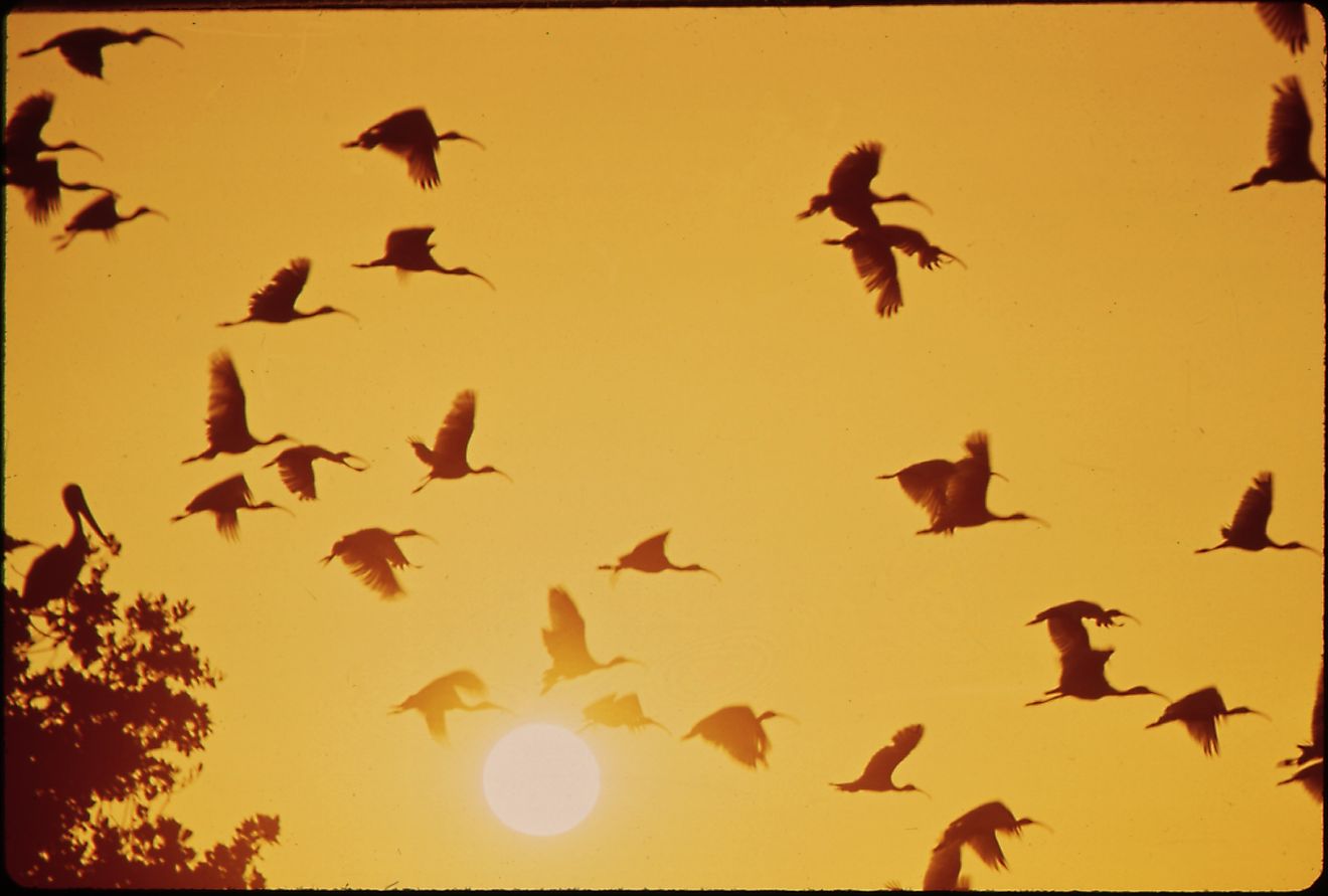 10 meilleures petites villes de Floride pour un été sans foule