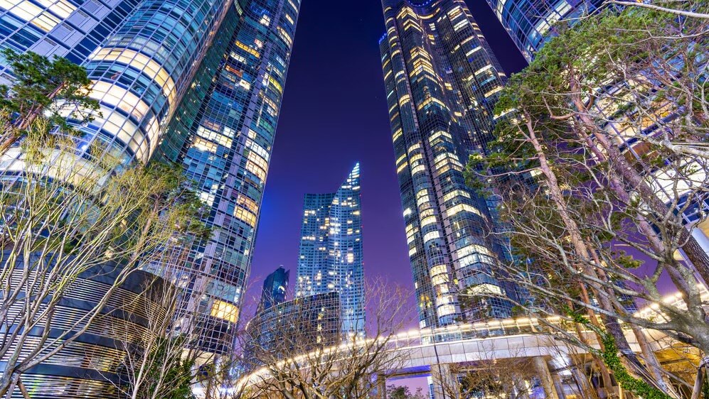 ¡Obtenga una piel hermosa con exfoliantes corporales! RECOMENDO LA NOCHE DE LA NOCHE SOCTURAS DE SCRUB EN BUSAN