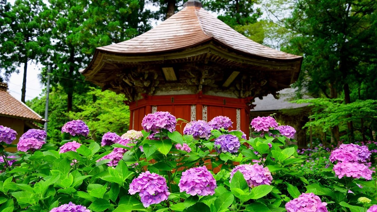 Profitez du Niigata au maximum, même un jour de pluie! Six attractions intérieures à visiter