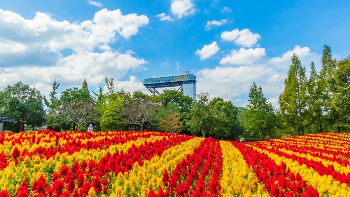 Romance y Flower City histórico: 5 atracciones imprescindibles en la ciudad de Kani, prefectura de Gifu